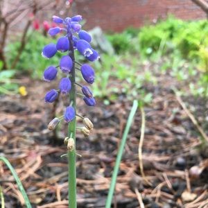 Meet your Posher, Esther